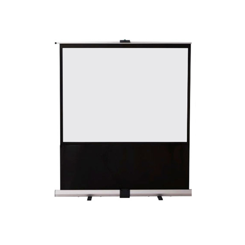 RS-100V [100�C���`]
